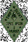Orion_FORCERECON1.gif (11620 bytes)